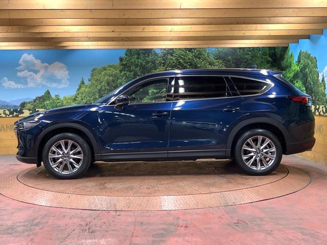 ＣＸ－８ ２５Ｓ　プロアクティブ　ＢＯＳＥ　禁煙車　マツダコネクトナビ　全周囲カメラ　ブラインドスポットモニター　クリアランスソナー　シートヒーター　レーダークルーズ　衝突軽減　ステアリングヒーター　ＬＥＤヘッド　純正１９インチアルミ（65枚目）