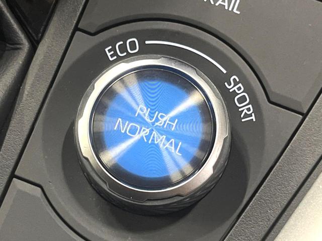 RAV4 ハイブリッドアドベンチャー 禁煙車 パワーバックドア ブラインドスポットモニター シートベンチレーション セーフティセンス ステアリングヒーター 純正19インチアルミ LEDヘッド&フォグ パワーシート(29枚目)