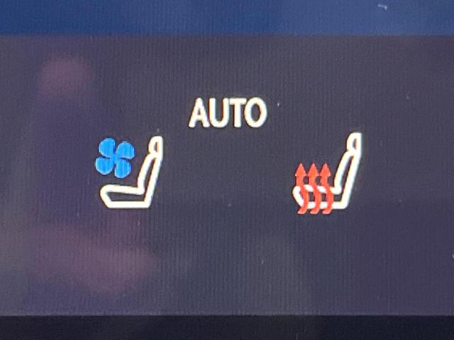 NX NX250 バージョンL モデリスタエアロ 全周囲カメラ 衝突被害軽減システム レーダークルーズ 禁煙車 電動リアゲート レザーシート 前席シートエアコン コーナーセンサー スマートキー LEDヘッド(7枚目)