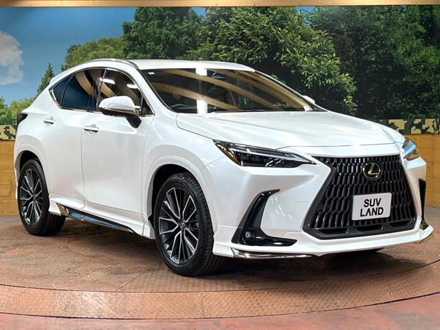 NX NX250 バージョンL モデリスタエアロ 全周囲カメラ 衝突被害軽減システム レーダークルーズ 禁煙車 電動リアゲート レザーシート 前席シートエアコン コーナーセンサー スマートキー LEDヘッド(16枚目)