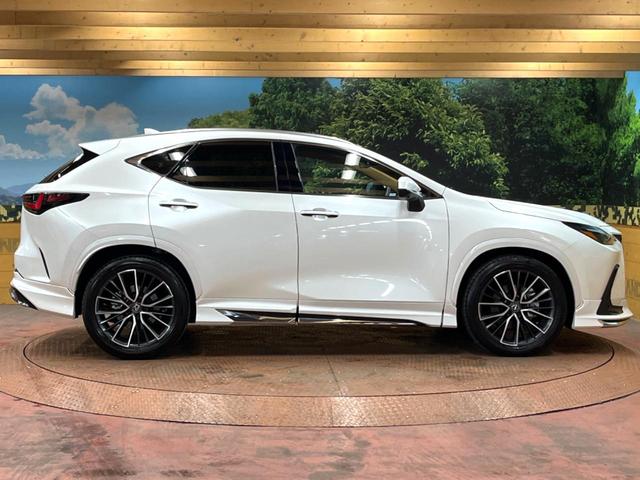 NX NX250 バージョンL モデリスタエアロ 全周囲カメラ 衝突被害軽減システム レーダークルーズ 禁煙車 電動リアゲート レザーシート 前席シートエアコン コーナーセンサー スマートキー LEDヘッド(28枚目)