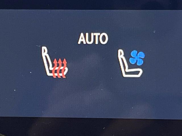 NX NX250 バージョンL モデリスタエアロ 全周囲カメラ 衝突被害軽減システム レーダークルーズ 禁煙車 電動リアゲート レザーシート 前席シートエアコン コーナーセンサー スマートキー LEDヘッド(48枚目)