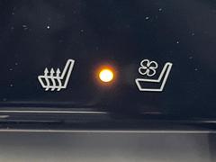 ڥȥ٥졼۲ƾäǤǮɤߤϥ᤯ޤäƥݥݥˡ鷺Ŭ˲ᤴޤ 5