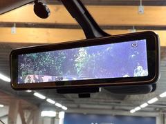 �ڥ���ƥꥸ����ȥ롼��ߥ顼�۸��ʤ��礭�ʲ�ʪ��Ʊ��ԤǸ�������ǧ���Ť餤���Ǥ�¿�������餬���Ƥ�����ξ�����α�����롼��ߥ顼���ɽ�������ꥢ�ʻ볦�Ǿ����γ�ǧ����ǽ�Ǥ��� 7