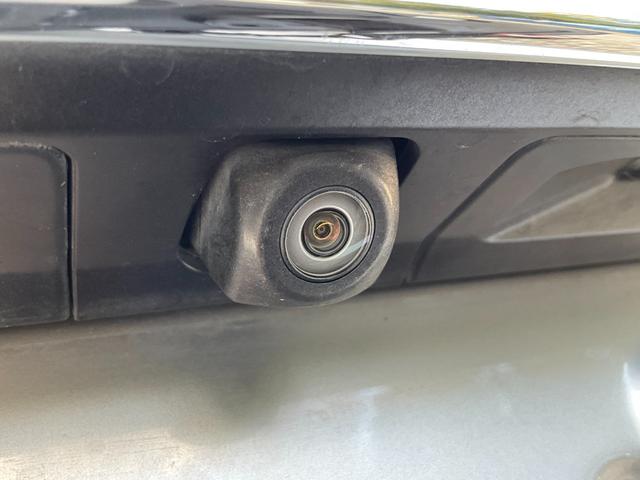 �[�Ԍ���C�����悭����蒸���܂��I�I