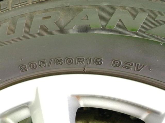 �u���̎Ԃ̎ʐ^�������ƌ������v�u��Ԃ��C�ɂȂ�v�u���̑����͂��Ă���H�v�ǂ�ȏ����ȋ^��ł����C�y�ɂ��₢���킹���������I