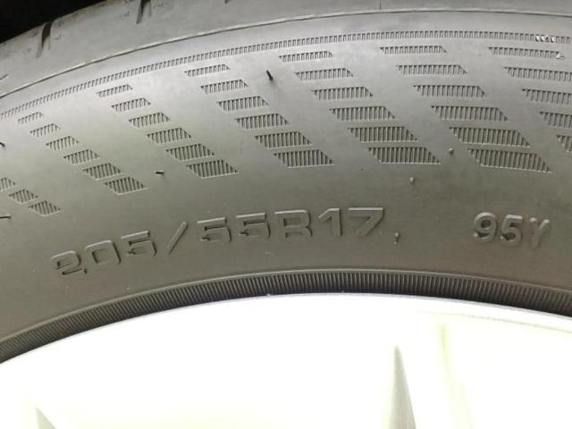 �u���̎Ԃ̎ʐ^�������ƌ������v�u��Ԃ��C�ɂȂ�v�u���̑����͂��Ă���H�v�ǂ�ȏ����ȋ^��ł����C�y�ɂ��₢���킹���������I