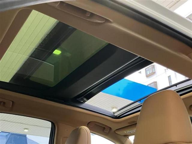 NX 4WD NX250バージョンL サンルーフ/保証書/純正 SDナビ/デジタルインナーミラー/プリクラッシュセーフティ/シートヒーター/パノラミックビューモニター/車線逸脱防止支援システム/シート フルレザー/電動バックドア 革シート(14枚目)