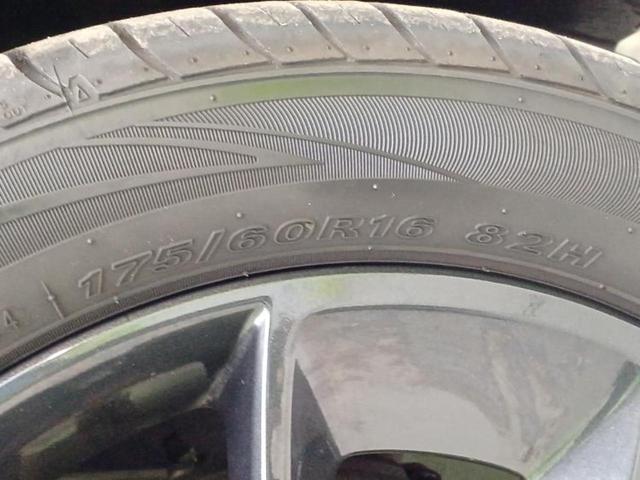 �u���̎Ԃ̎ʐ^�������ƌ������v�u��Ԃ��C�ɂȂ�v�u���̑����͂��Ă���H�v�ǂ�ȏ����ȋ^��ł����C�y�ɂ��₢���킹���������I