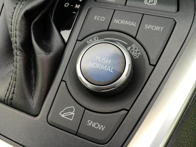 RAV4 4WDアドベンチャーオフロードパッケージ 保証書/ディスプレイオーディオ+ナビ/衝突安全装置/パノラミックビューモニター/車線逸脱防止支援システム/シート 合皮/パーキングアシスト バックガイド/ヘッドランプ LED 衝突被害軽減システム(35枚目)