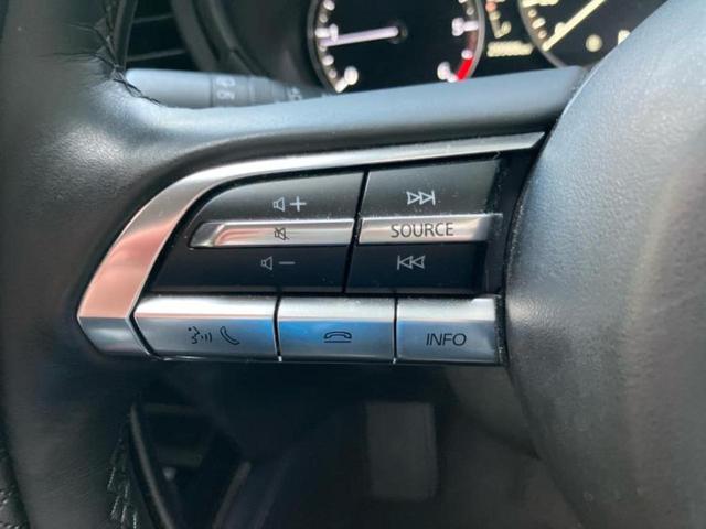 ＣＸ－３０ ＸＤプロアクティブツーリングセレクション　保証書／純正　ＳＤナビ／衝突安全装置／シートヒーター／３６０°ビューモニター／車線逸脱防止支援システム／電動バックドア／ヘッドランプ　ＬＥＤ／ＥＴＣ／ＥＢＤ付ＡＢＳ／横滑り防止装置　バックカメラ（28枚目）