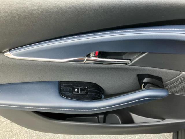 ＣＸ－３０ ＸＤプロアクティブツーリングセレクション　保証書／純正　ＳＤナビ／衝突安全装置／シートヒーター／３６０°ビューモニター／車線逸脱防止支援システム／電動バックドア／ヘッドランプ　ＬＥＤ／ＥＴＣ／ＥＢＤ付ＡＢＳ／横滑り防止装置　バックカメラ（35枚目）
