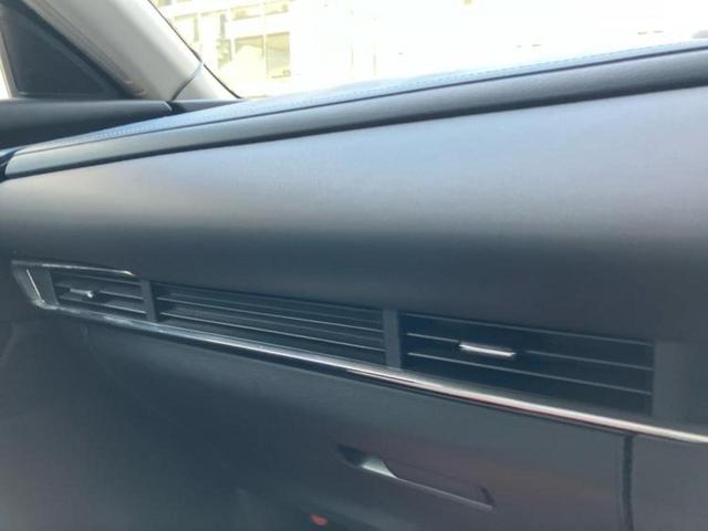 ＣＸ－３０ ＸＤプロアクティブツーリングセレクション　保証書／純正　ＳＤナビ／衝突安全装置／シートヒーター／３６０°ビューモニター／車線逸脱防止支援システム／電動バックドア／ヘッドランプ　ＬＥＤ／ＥＴＣ／ＥＢＤ付ＡＢＳ／横滑り防止装置　バックカメラ（38枚目）