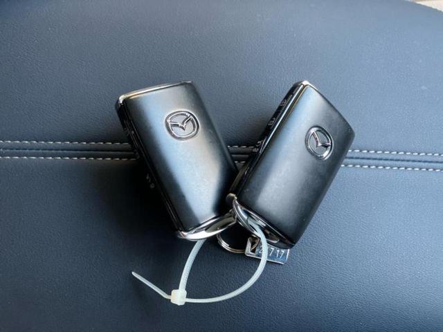 ＣＸ－３０ ＸＤプロアクティブツーリングセレクション　保証書／純正　ＳＤナビ／衝突安全装置／シートヒーター／３６０°ビューモニター／車線逸脱防止支援システム／電動バックドア／ヘッドランプ　ＬＥＤ／ＥＴＣ／ＥＢＤ付ＡＢＳ／横滑り防止装置　バックカメラ（42枚目）