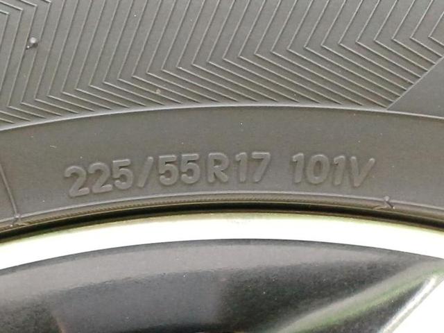 �u���̎Ԃ̎ʐ^�������ƌ������v�u��Ԃ��C�ɂȂ�v�u���̑����͂��Ă���H�v�ǂ�ȏ����ȋ^��ł����C�y�ɂ��₢���킹���������I