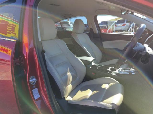 �V�[�g�J���[���z���C�g�ł������ł��I