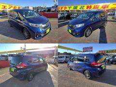 �ե꡼�� �� 0504875A20260203G003 4