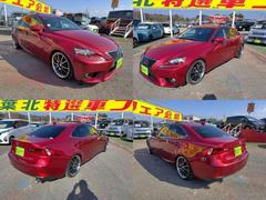 ���ӥ��饹�ܥǥ��������ƥ��󥰤�ܹ���ǽ�Ǥ����ԥ��ԥ��ˤʤäƤ��줤�ʾ��֤�Ĺ���ݤƤޤ��� 4