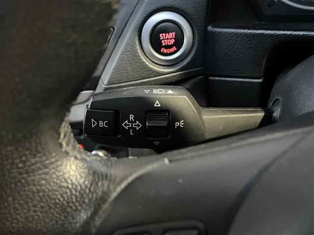 Ｘ１ ｘＤｒｉｖｅ　２５ｉ　ＨＤＤナビ　スマートキー　４ＷＤ　ＭＴモード付　ＡＡＣ　バックカメラ　ミュージックプレイヤー接続　フルセグ　純正アルミホイール　パワーシート　ＨＩＤヘッドライト（10枚目）