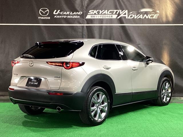 CX-30 20S Proactive Touring Selectio(38枚目)