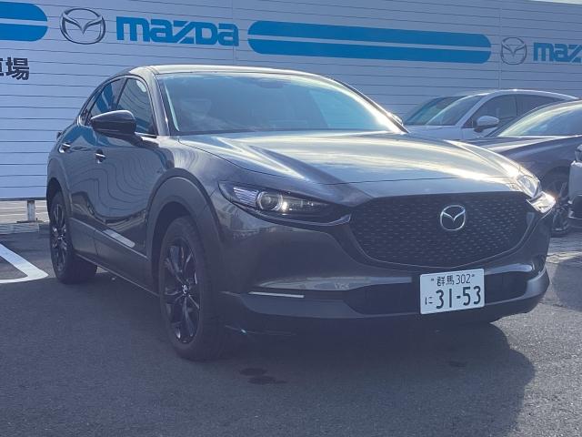 ＣＸ－３０ レトロスポーツ　ＸＤレトロスポーツ　ＡＷＤ（16枚目）