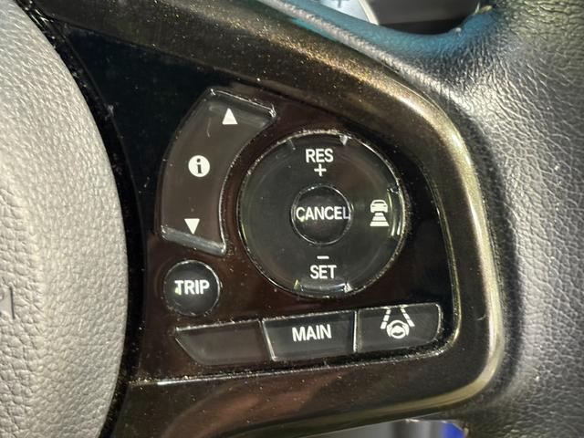 高速道路で活躍する追従型クルーズコントロールが付いております。