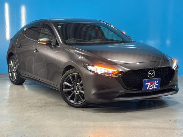 ＭＡＺＤＡ３ファストバック ＸＤプロアクティブ　ＯＰ：３６０度セーフティパッケージ／ＯＰ：ＤＶＤ・ＣＤ・フルセグＴＶキット／１オーナー／８．８インチマツダコネクトナビ／ヘッドアップディスプレイ／レーダークルーズ／ブラインドスポットモニター／ＥＴＣ／（19枚目）