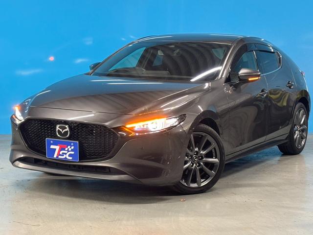 ＭＡＺＤＡ３ファストバック ＸＤプロアクティブ　ＯＰ：３６０度セーフティパッケージ／ＯＰ：ＤＶＤ・ＣＤ・フルセグＴＶキット／１オーナー／８．８インチマツダコネクトナビ／ヘッドアップディスプレイ／レーダークルーズ／ブラインドスポットモニター／ＥＴＣ／（20枚目）