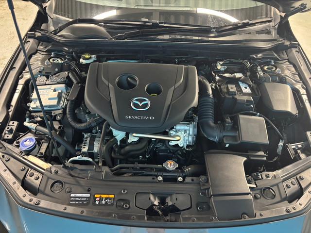 ＭＡＺＤＡ３ファストバック ＸＤプロアクティブ　ＯＰ：３６０度セーフティパッケージ／ＯＰ：ＤＶＤ・ＣＤ・フルセグＴＶキット／１オーナー／８．８インチマツダコネクトナビ／ヘッドアップディスプレイ／レーダークルーズ／ブラインドスポットモニター／ＥＴＣ／（47枚目）
