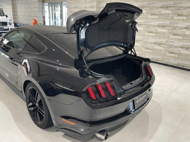 FORD MUSTANG 50 YEARS EDITION