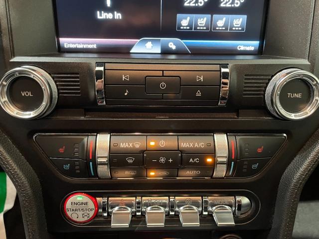 FORD MUSTANG 50 YEARS EDITION