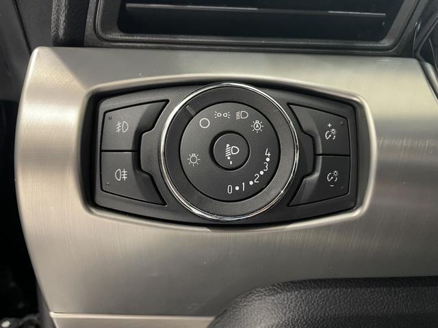 FORD MUSTANG 50 YEARS EDITION