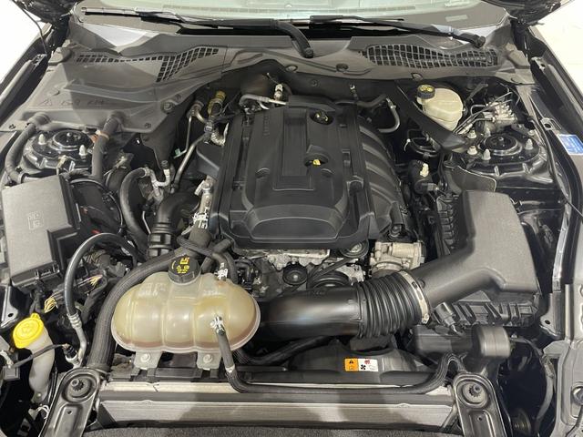 FORD MUSTANG 50 YEARS EDITION