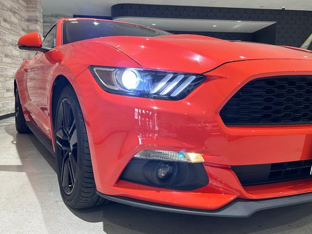 マスタング ５０イヤーズ　エディション　１年保証付／正規ディーラー車／黒革パワーシート／エアシート＆ヒーター／バックカメラ／リアソナー／ＥＴＣ／Ｂｌｕｅｔｏｏｔｈ＆ＵＳＢ／パドルシフト／フォグライト／ＰＵＳＨスタート／純正１９ｉｎｃｈＡＷ（14枚目）