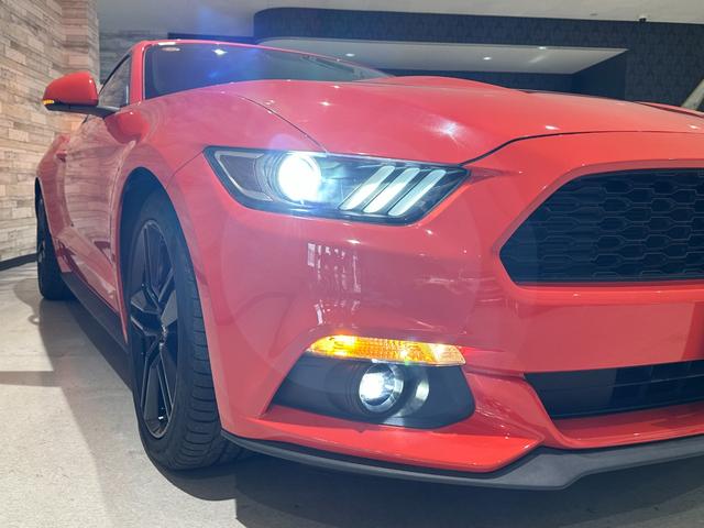 マスタング ５０イヤーズ　エディション　１年保証付／正規ディーラー車／黒革パワーシート／エアシート＆ヒーター／バックカメラ／リアソナー／ＥＴＣ／Ｂｌｕｅｔｏｏｔｈ＆ＵＳＢ／パドルシフト／フォグライト／ＰＵＳＨスタート／純正１９ｉｎｃｈＡＷ（16枚目）