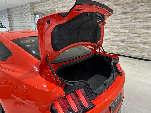 マスタング ５０イヤーズ　エディション　１年保証付／正規ディーラー車／黒革パワーシート／エアシート＆ヒーター／バックカメラ／リアソナー／ＥＴＣ／Ｂｌｕｅｔｏｏｔｈ＆ＵＳＢ／パドルシフト／フォグライト／ＰＵＳＨスタート／純正１９ｉｎｃｈＡＷ（30枚目）