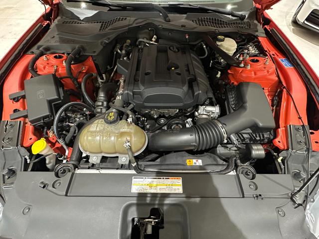 マスタング ５０イヤーズ　エディション　１年保証付／正規ディーラー車／黒革パワーシート／エアシート＆ヒーター／バックカメラ／リアソナー／ＥＴＣ／Ｂｌｕｅｔｏｏｔｈ＆ＵＳＢ／パドルシフト／フォグライト／ＰＵＳＨスタート／純正１９ｉｎｃｈＡＷ（54枚目）