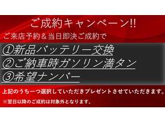 マスタング ５０イヤーズ　エディション　正規ディーラー車　黒革ヒーター＆エアコン　バックカメラ 0505075A30240202W001 3