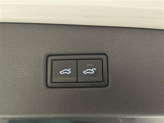ティグアン TDI 4モーション Rライン チルト&テレスコピックステアリング/パワーテールゲート/インテリアアンビエントライト/カミングホーム&リービングホーム/シートヒーター(D/N)/パワーテールゲート/シートヒーター(D/N)/ETC(38枚目)
