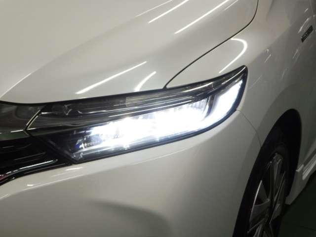 ハイブリッドX あんしんP カロッツェナビ ドラレコ LED(14枚目)