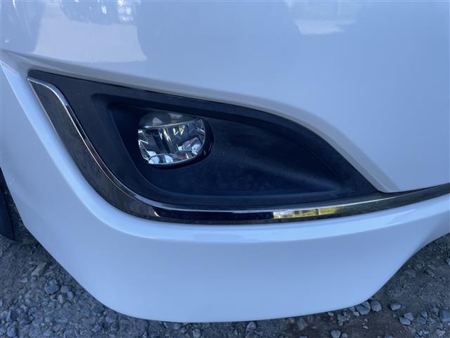 エスクァイア Gi プレミアムパッケージ ブラックテーラード(25枚目)