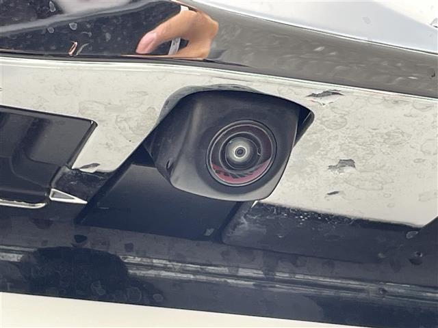 アルファード 2.5S Cパッケージ 純正9型ディスプレイオーディオ(フルセグTV・CD・DVD・BT) ツインサンルーフ バックカメラ フリップダウンモニター Wサンルーフ 三眼LED シーケンシャルウインカー トヨタセーフティセンス(42枚目)