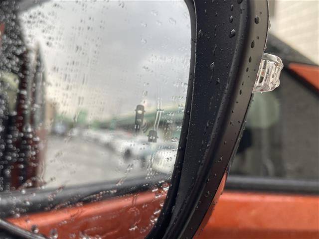 セレナ ハイウェイスター V 純正10型SDナビ(フルセグTV/CD/DVD/BT) 全方位 コーナーセンサー ブラインドスポット フリップダウンモニター ドラレコ プロパイロット 両側電動 ETC 純正フロアマット 純正LED(24枚目)