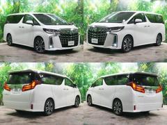 ֥륵롼աեåץ˥ѥХåɥץꥯå塡졼롼 2