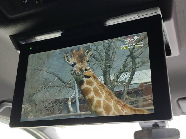 ノア Ｓｉ　ダブルバイビーＩＩＩ　ワンオーナー／ユーザー買取車／純正１０型ナビ／フルセグ／ＣＤ・ＤＶＤ再生／ＢＴ対応／ＥＴＣ／１２．１型後席ディスプレイ／モデリスタリアスカート・スタイリッシュモール／両側パワスラ／セーフティーセンス（65枚目）