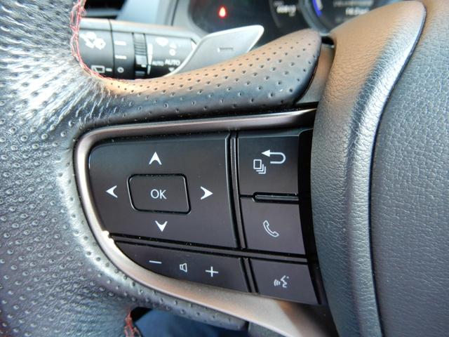 ＵＸ ＵＸ２５０ｈ　Ｆスポーツ　１オーナー／ＴＲＤエアロ／赤革／ナビ／フルセグ／Ｂカメラ／Ｐサウンド／レーダークルーズ／シートヒーター／電動Ｒゲート／ＥＴＣ（34枚目）