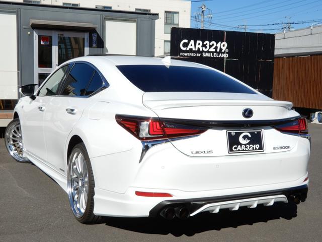 ES ES300h Fスポーツ TRDエアロ&マフラー サンルーフ 赤革 外21AW Dインナーミラー ナビTV Bカメラ Dレコ シートAC ETC2.0(50枚目)