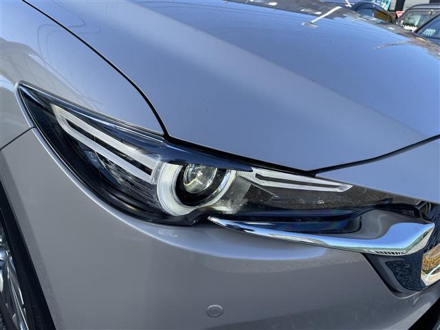 ＣＸ－８ ２５Ｔ　エクスクルーシブモード　１オーナー禁煙車　茶革シート　エアシート＆シートヒーター　ＢＯＳＥサウンド　純正ナビＴＶ　３６０度カメラ　前後ドラレコ　パワーバックドア　クリアランスソナー　純正１９インチＡＷ　ＬＥＤヘッドライト（28枚目）