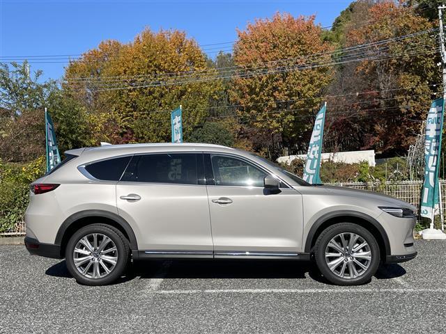 ＣＸ－８ ２５Ｔ　エクスクルーシブモード　１オーナー禁煙車　茶革シート　エアシート＆シートヒーター　ＢＯＳＥサウンド　純正ナビＴＶ　３６０度カメラ　前後ドラレコ　パワーバックドア　クリアランスソナー　純正１９インチＡＷ　ＬＥＤヘッドライト（32枚目）