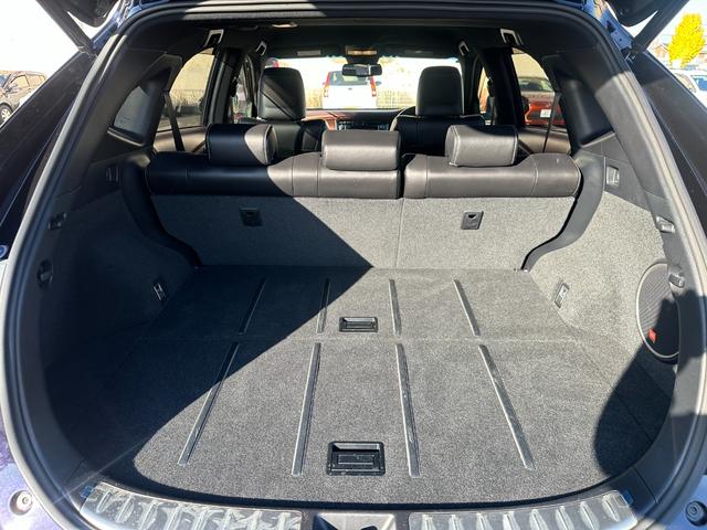 ハリアー プレミアム アドバンスドパッケージ 4WD/純正8型ナビ/全方位カメラ/JBLサウンド/トヨタセーフティセンス/レーダークルーズコントロール/衝突軽減装置/パワーバックドア/パワーシート/スマートキー/オートハイビーム/電動チルト(46枚目)